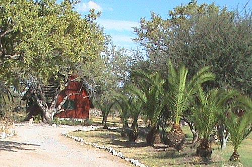 Tsumkwe (2)